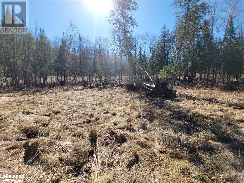 0 Highway 35, Lake Of Bays, Ontario  P0A 1E0 - Photo 15 - X10895858