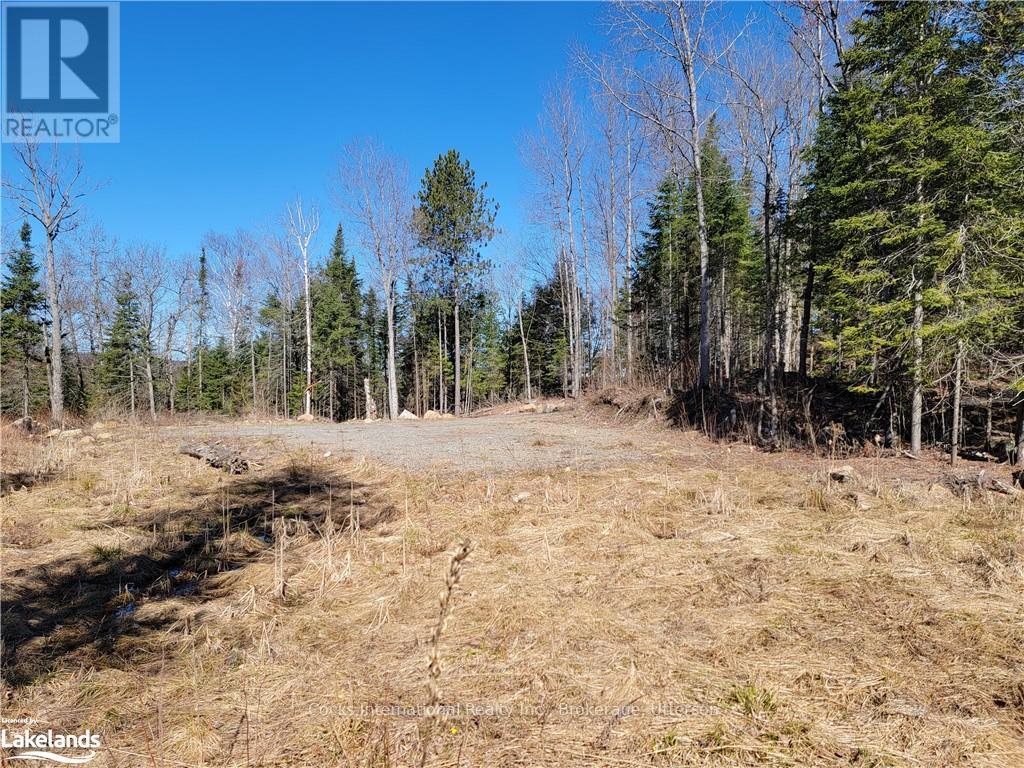 0 Highway 35, Lake Of Bays, Ontario  P0A 1E0 - Photo 16 - X10895858