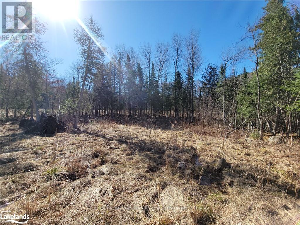 0 Highway 35, Lake Of Bays, Ontario  P0A 1E0 - Photo 17 - X10895858