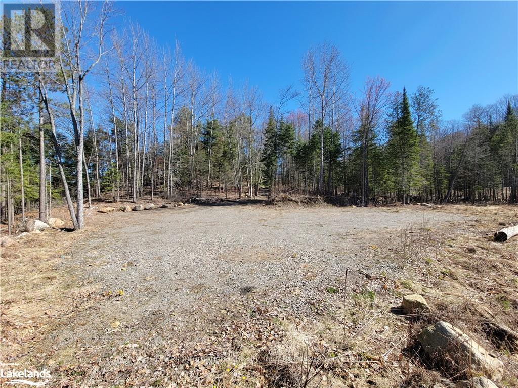 0 Highway 35, Lake Of Bays, Ontario  P0A 1E0 - Photo 18 - X10895858