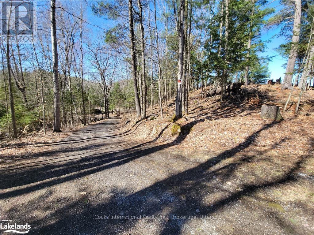 0 Highway 35, Lake Of Bays, Ontario  P0A 1E0 - Photo 20 - X10895858