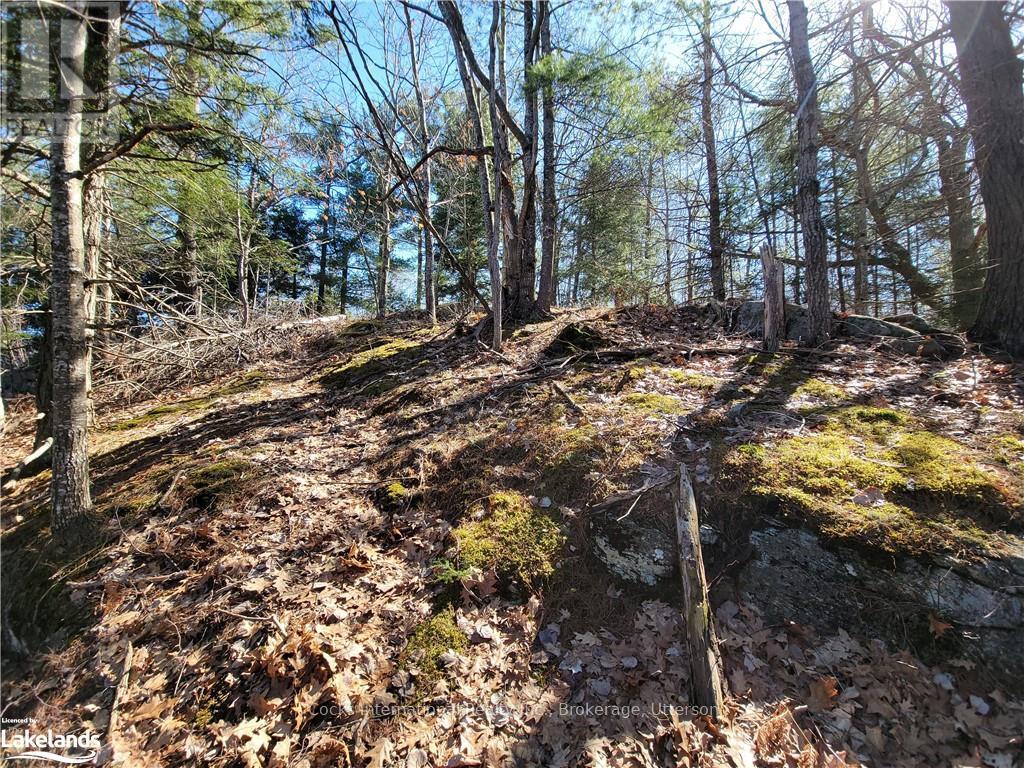 0 Highway 35, Lake Of Bays, Ontario  P0A 1E0 - Photo 23 - X10895858