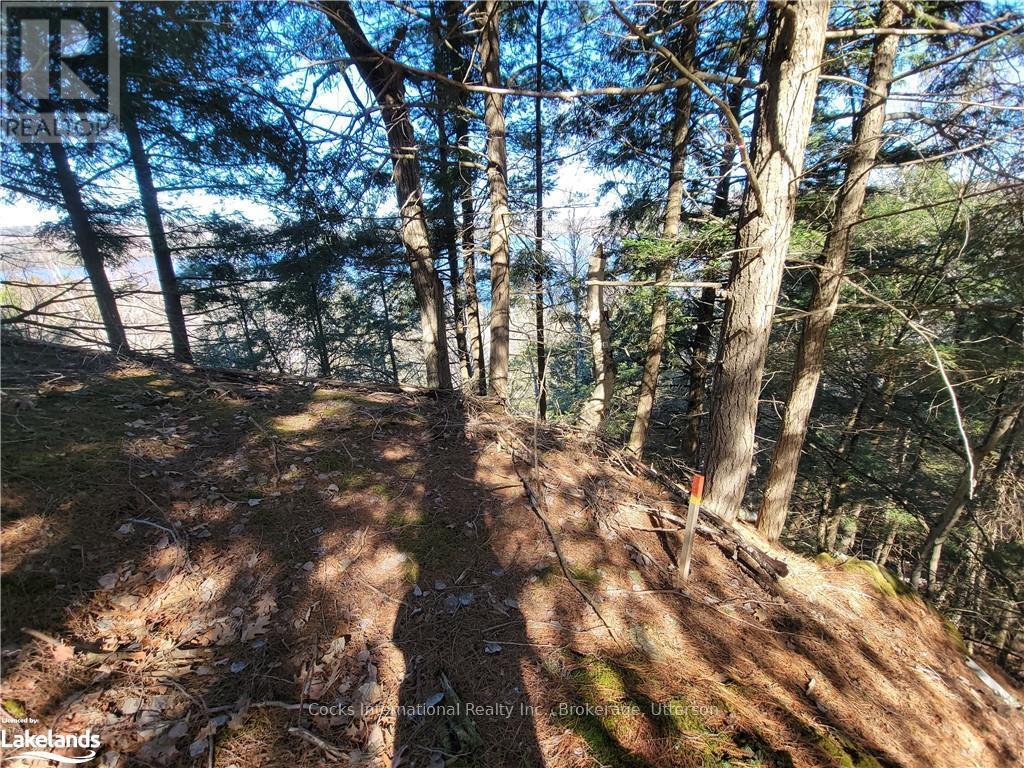 0 Highway 35, Lake Of Bays, Ontario  P0A 1E0 - Photo 25 - X10895858