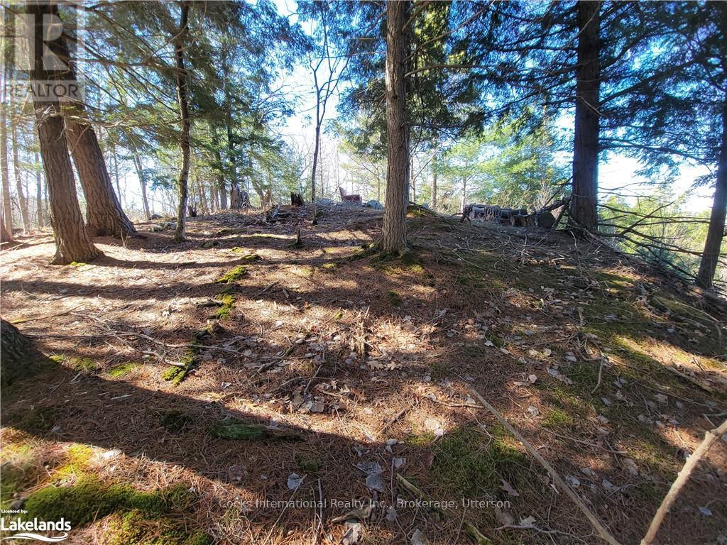 0 Highway 35, Lake Of Bays, Ontario  P0A 1E0 - Photo 26 - X10895858