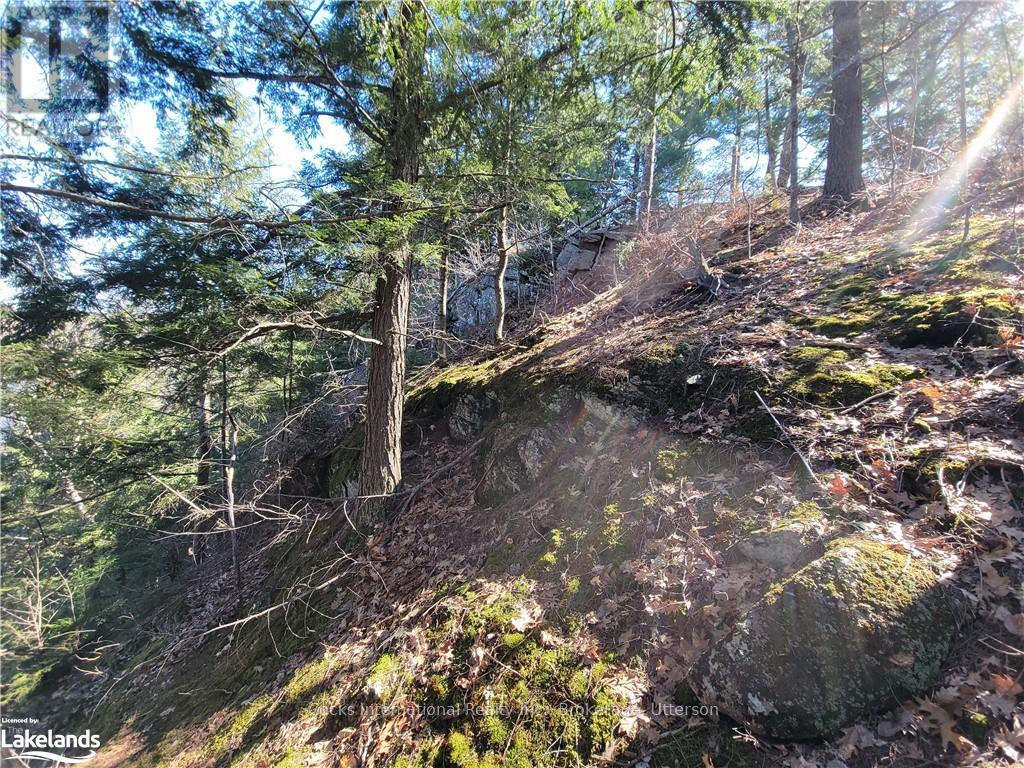 0 Highway 35, Lake Of Bays, Ontario  P0A 1E0 - Photo 29 - X10895858