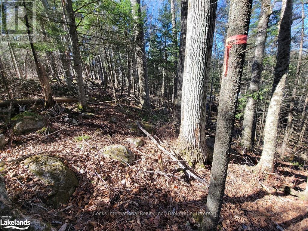 0 Highway 35, Lake Of Bays, Ontario  P0A 1E0 - Photo 30 - X10895858