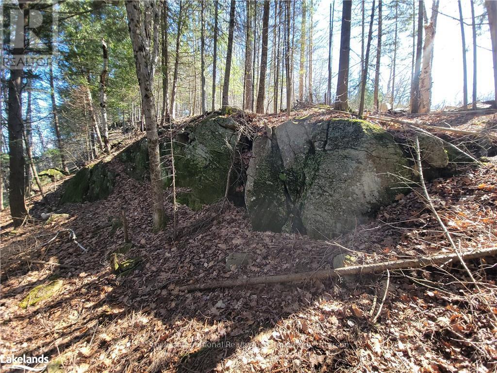 0 Highway 35, Lake Of Bays, Ontario  P0A 1E0 - Photo 31 - X10895858