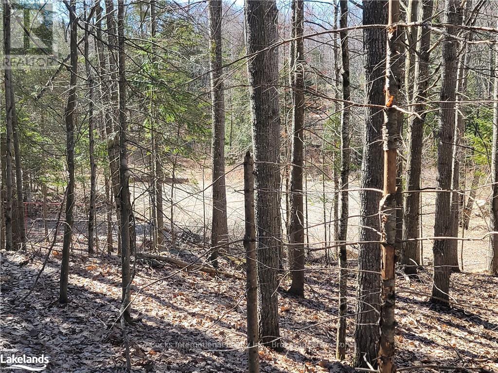 0 Highway 35, Lake Of Bays, Ontario  P0A 1E0 - Photo 32 - X10895858