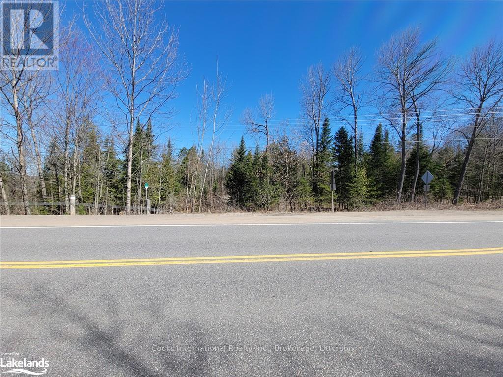 0 Highway 35, Lake Of Bays, Ontario  P0A 1E0 - Photo 33 - X10895858