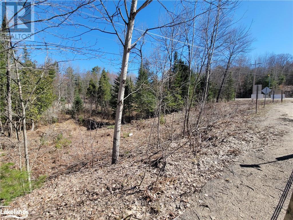 0 Highway 35, Lake Of Bays, Ontario  P0A 1E0 - Photo 36 - X10895858
