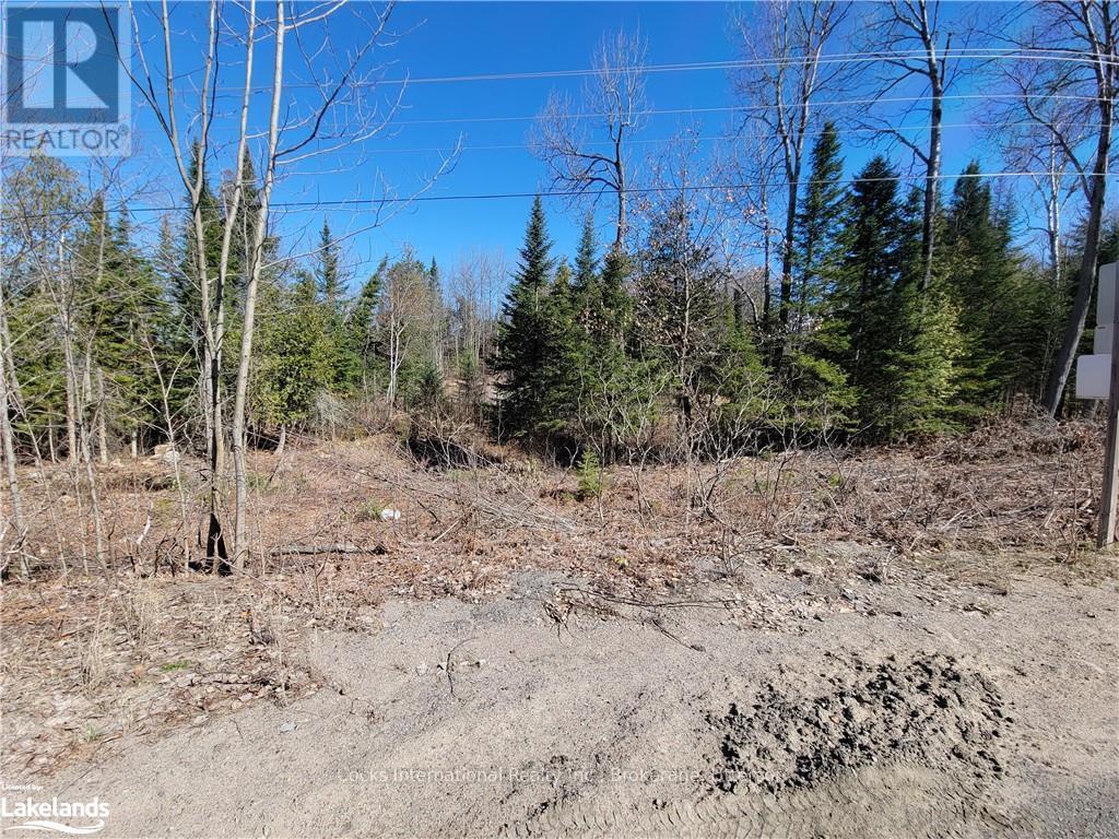 0 Highway 35, Lake Of Bays, Ontario  P0A 1E0 - Photo 38 - X10895858