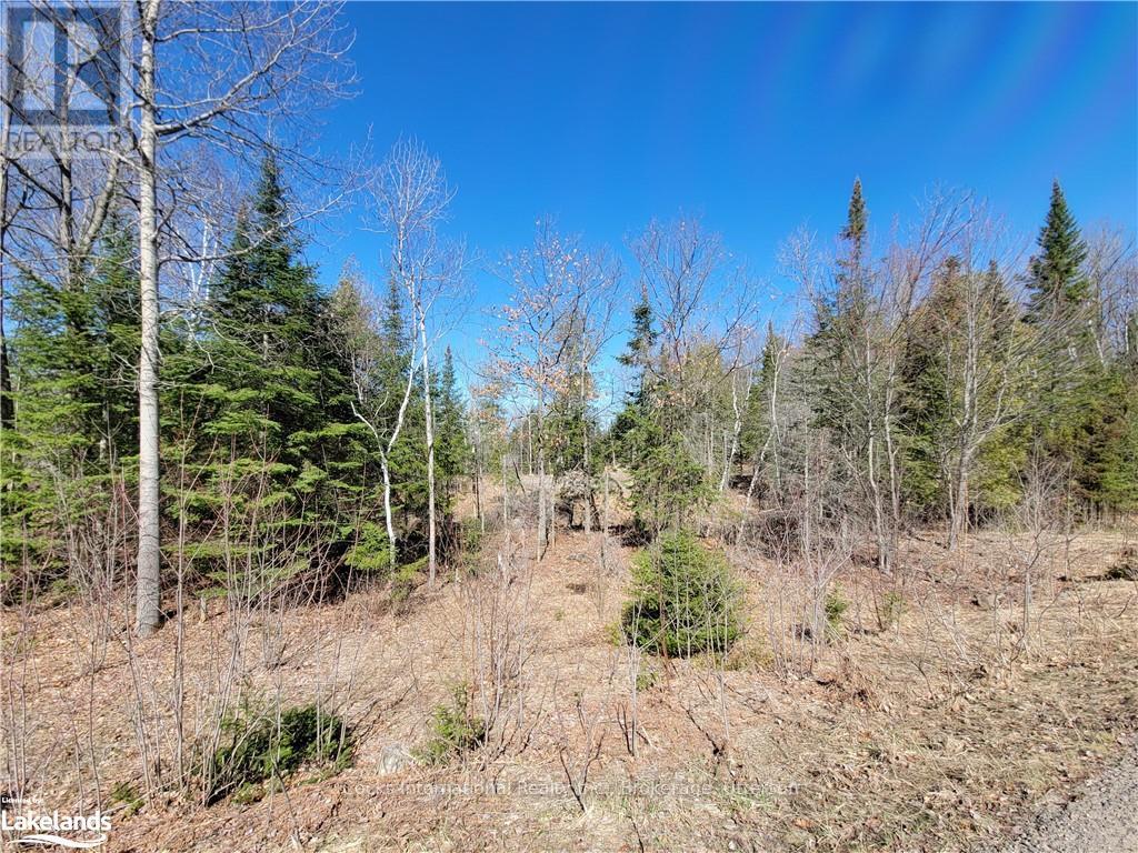 0 Highway 35, Lake Of Bays, Ontario  P0A 1E0 - Photo 39 - X10895858