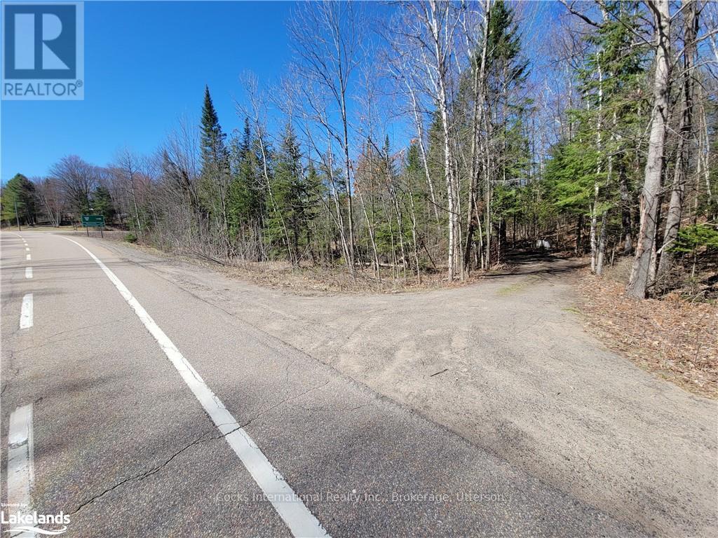 0 Highway 35, Lake Of Bays, Ontario  P0A 1E0 - Photo 4 - X10895858