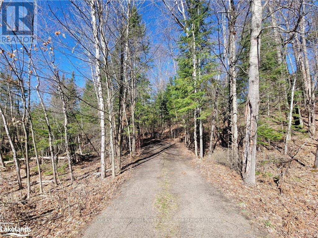 0 Highway 35, Lake Of Bays, Ontario  P0A 1E0 - Photo 5 - X10895858