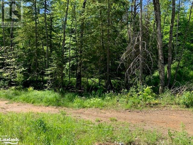 60 Summer Leigh Trail, Huntsville, Ontario  P0B 1M0 - Photo 11 - X10897552