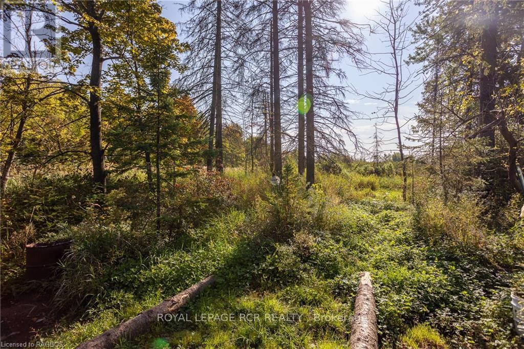 30 Victoria Street W, Southgate, Ontario  N0C 1B0 - Photo 40 - X10847919