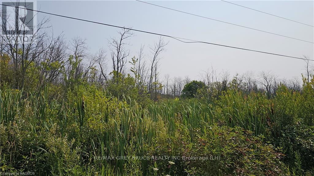 Lot 36 Bartley Drive, Northern Bruce Peninsula, Ontario  N0H 1Z0 - Photo 11 - X10848979