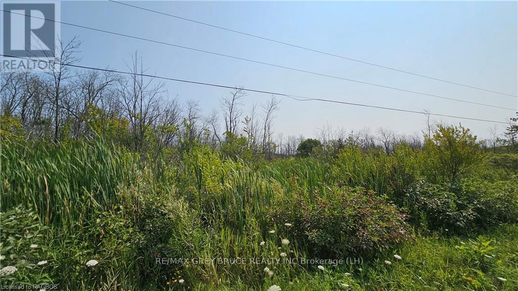 Lot 36 Bartley Drive, Northern Bruce Peninsula, Ontario  N0H 1Z0 - Photo 12 - X10848979