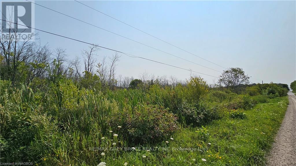 Lot 36 Bartley Drive, Northern Bruce Peninsula, Ontario  N0H 1Z0 - Photo 13 - X10848979