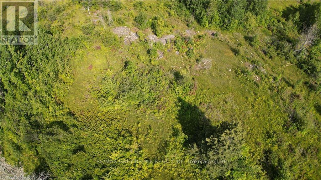 Lot 36 Bartley Drive, Northern Bruce Peninsula, Ontario  N0H 1Z0 - Photo 18 - X10848979