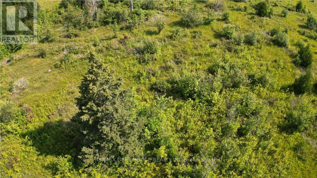Lot 36 Bartley Drive, Northern Bruce Peninsula, Ontario  N0H 1Z0 - Photo 19 - X10848979