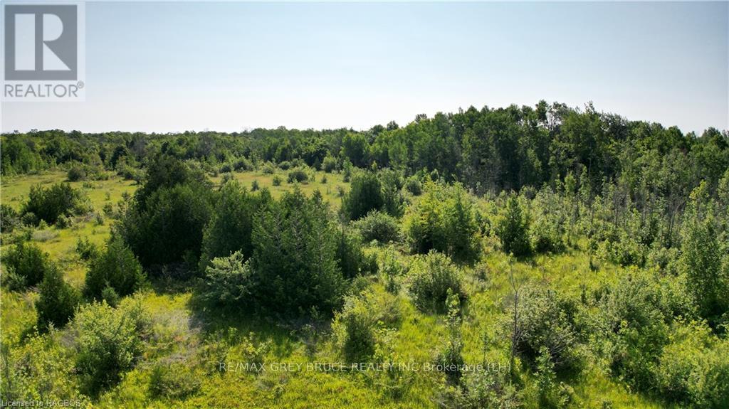 Lot 36 Bartley Drive, Northern Bruce Peninsula, Ontario  N0H 1Z0 - Photo 2 - X10848979