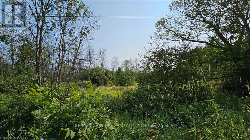Lot 36 Bartley Drive, Northern Bruce Peninsula, Ontario  N0H 1Z0 - Photo 7 - X10848979