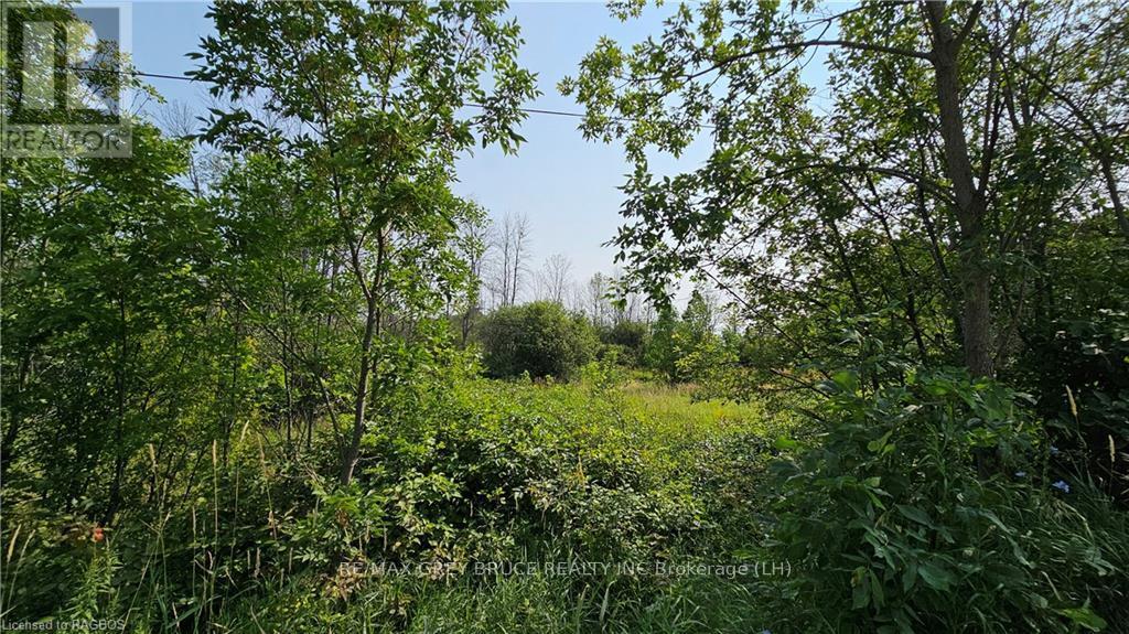 Lot 36 Bartley Drive, Northern Bruce Peninsula, Ontario  N0H 1Z0 - Photo 8 - X10848979
