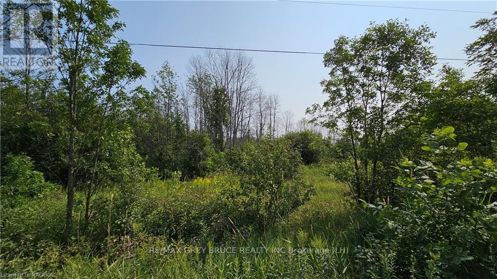 Lot 36 Bartley Drive, Northern Bruce Peninsula, Ontario  N0H 1Z0 - Photo 9 - X10848979