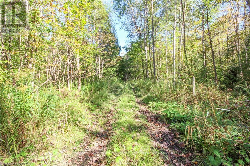 1019 Bruce Road 9, South Bruce Peninsula, Ontario  N0H 2T0 - Photo 18 - X10846916