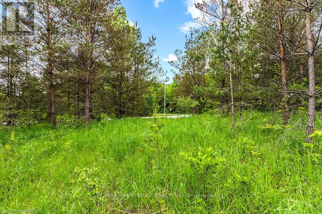 Ptlt 16 Side Road 5, Chatsworth, Ontario  N0H 1G0 - Photo 10 - X10850008