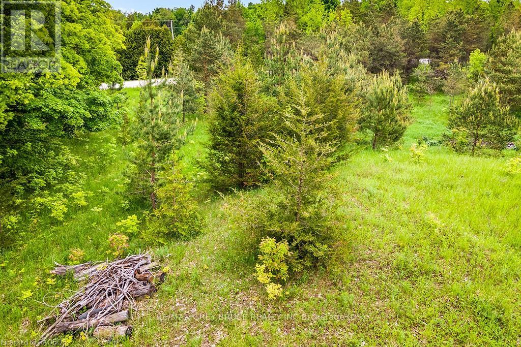 Ptlt 16 Side Road 5, Chatsworth, Ontario  N0H 1G0 - Photo 15 - X10850008