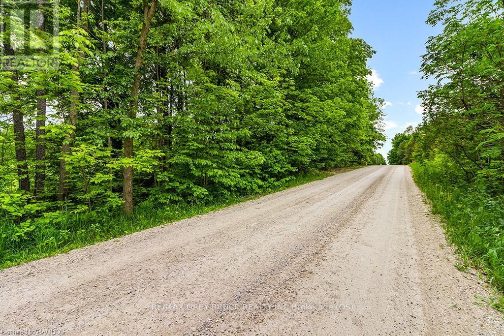 Ptlt 16 Side Road 5, Chatsworth, Ontario  N0H 1G0 - Photo 8 - X10850008