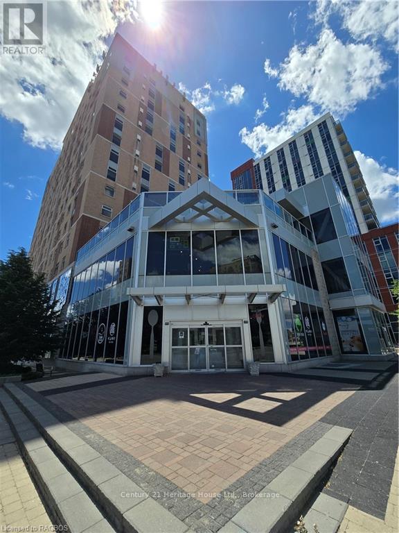 11 - 203 Lester Street, Waterloo, Ontario  N2L 3W3 - Photo 1 - X10850013