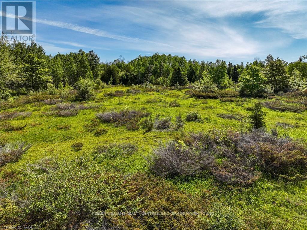Lot 39 Bartley Drive, Northern Bruce Peninsula, Ontario  N0H 1Z0 - Photo 12 - X10847862