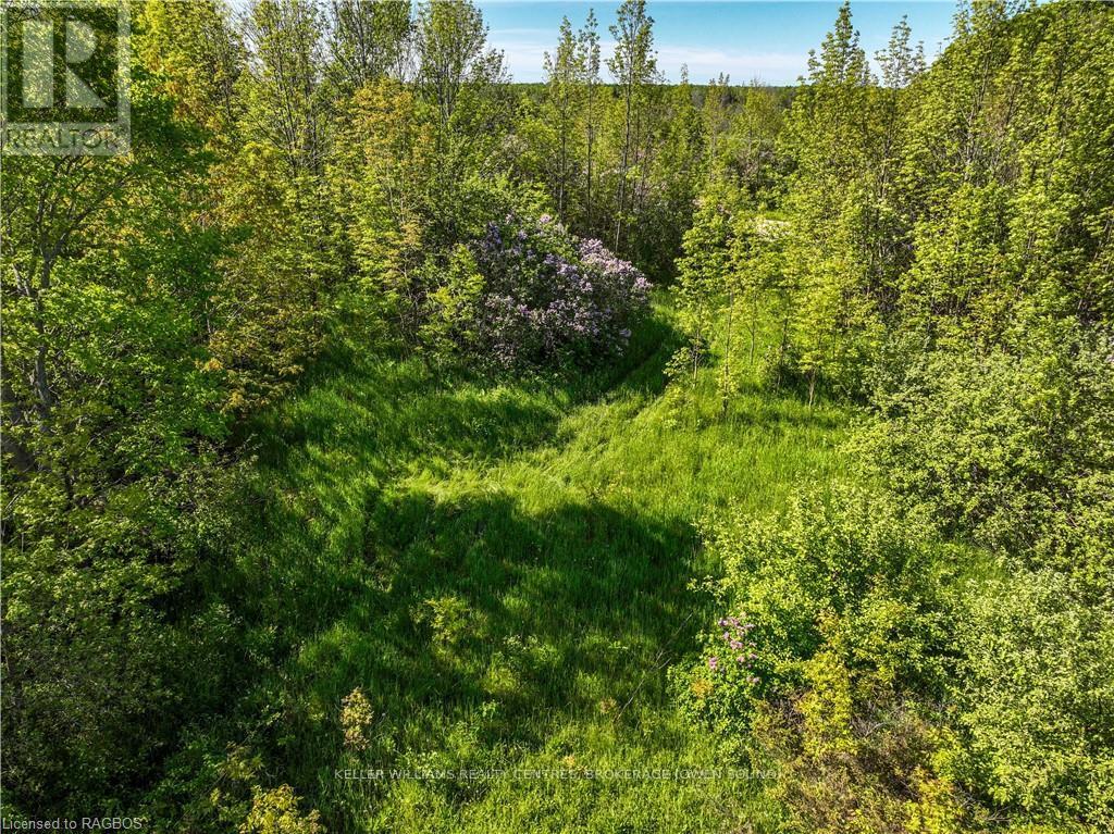 Lot 39 Bartley Drive, Northern Bruce Peninsula, Ontario  N0H 1Z0 - Photo 8 - X10847862