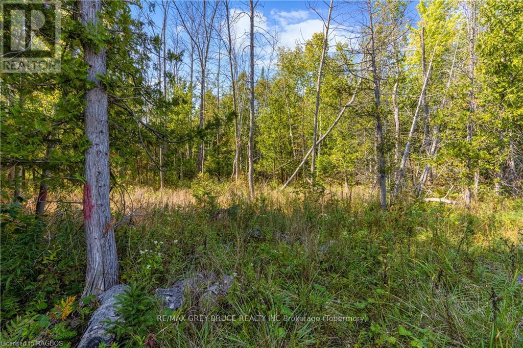 Lot 36 Sauble Falls Parkway, South Bruce Peninsula, Ontario  N0H 2T0 - Photo 10 - X10848034
