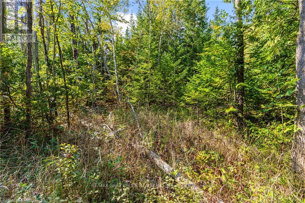 Lot 36 Sauble Falls Parkway, South Bruce Peninsula, Ontario  N0H 2T0 - Photo 14 - X10848034