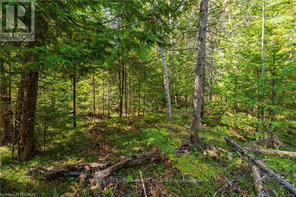 Lot 36 Sauble Falls Parkway, South Bruce Peninsula, Ontario  N0H 2T0 - Photo 15 - X10848034