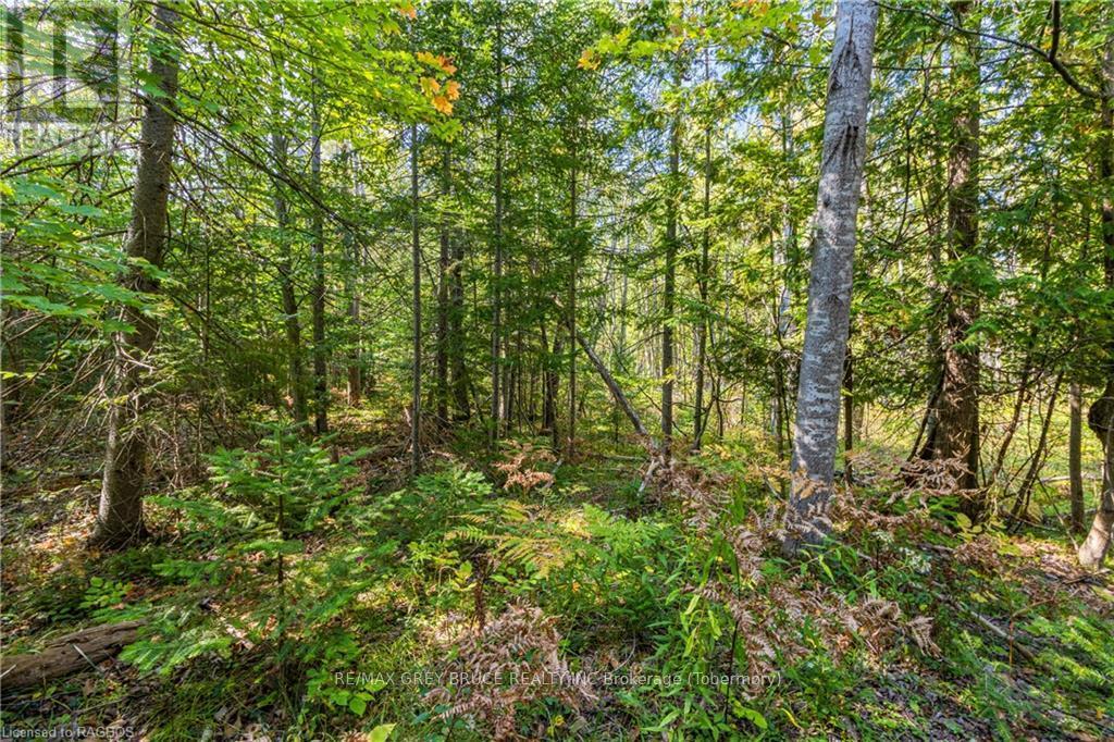 Lot 36 Sauble Falls Parkway, South Bruce Peninsula, Ontario  N0H 2T0 - Photo 16 - X10848034
