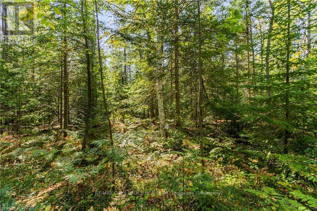 Lot 36 Sauble Falls Parkway, South Bruce Peninsula, Ontario  N0H 2T0 - Photo 17 - X10848034
