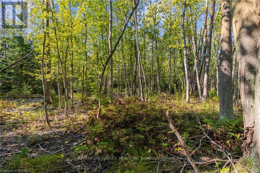 Lot 36 Sauble Falls Parkway, South Bruce Peninsula, Ontario  N0H 2T0 - Photo 18 - X10848034