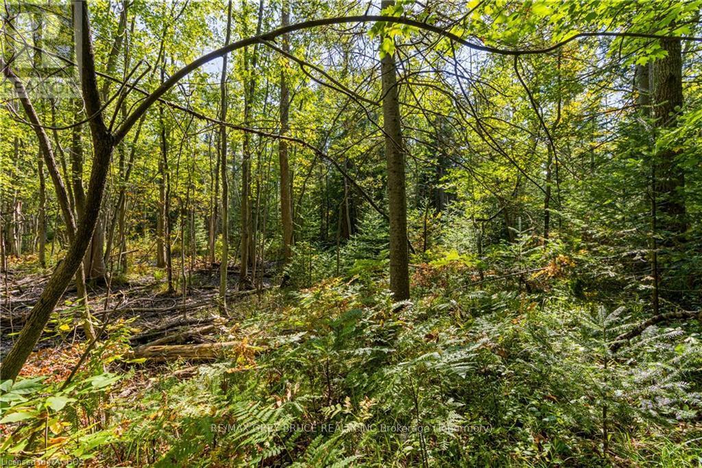 Lot 36 Sauble Falls Parkway, South Bruce Peninsula, Ontario  N0H 2T0 - Photo 19 - X10848034