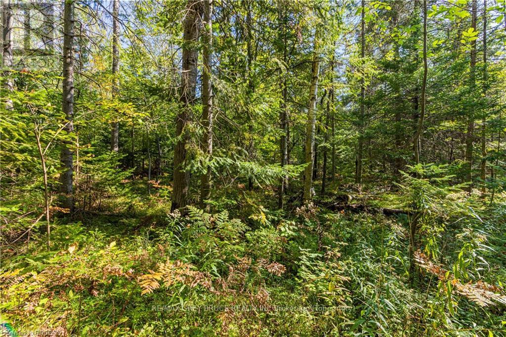 Lot 36 Sauble Falls Parkway, South Bruce Peninsula, Ontario  N0H 2T0 - Photo 20 - X10848034