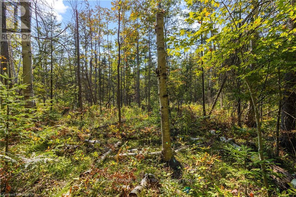 Lot 36 Sauble Falls Parkway, South Bruce Peninsula, Ontario  N0H 2T0 - Photo 21 - X10848034