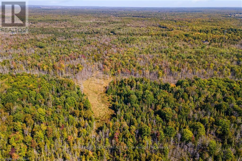 Lot 36 Sauble Falls Parkway, South Bruce Peninsula, Ontario  N0H 2T0 - Photo 27 - X10848034