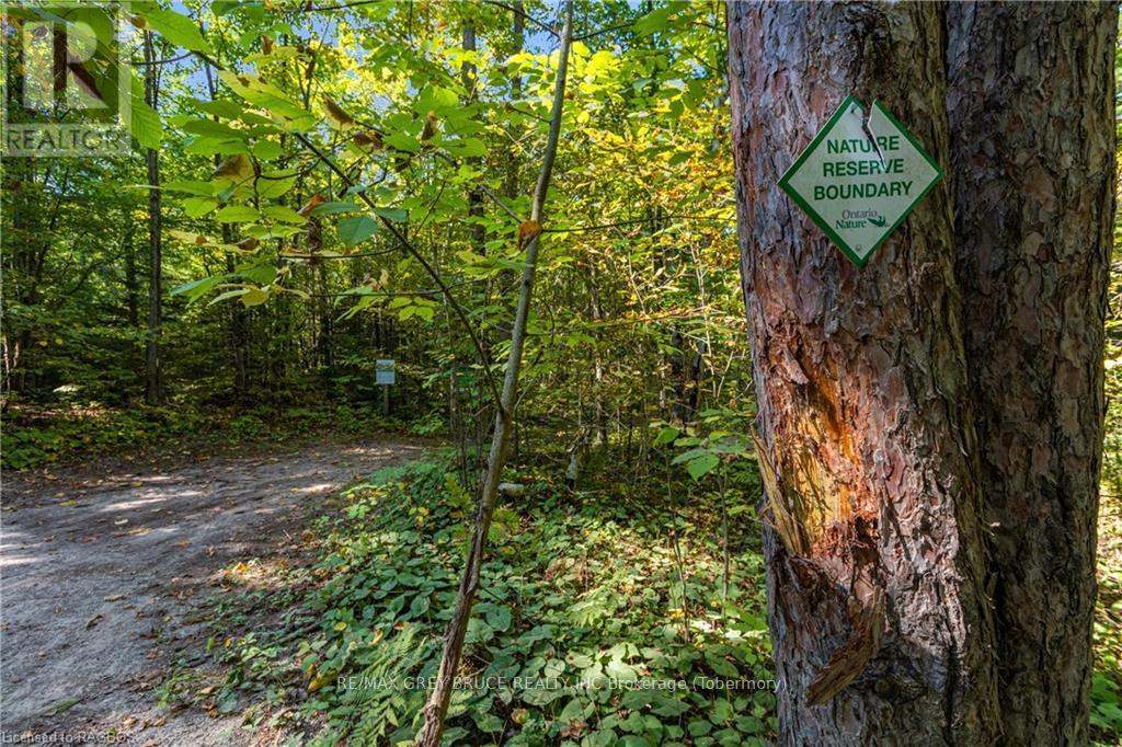 Lot 36 Sauble Falls Parkway, South Bruce Peninsula, Ontario  N0H 2T0 - Photo 35 - X10848034