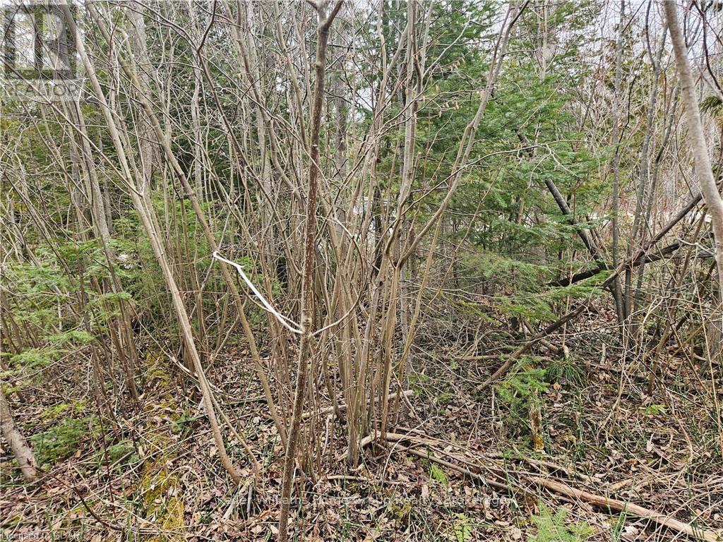 35 Hardwick Cove Road, Northern Bruce Peninsula, Ontario  N0H 1W0 - Photo 7 - X10876211