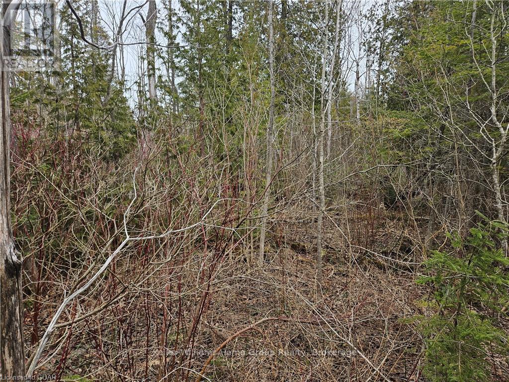 35 Hardwick Cove Road, Northern Bruce Peninsula, Ontario  N0H 1W0 - Photo 8 - X10876211