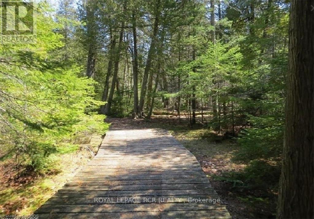 56 Trillium, Northern Bruce Peninsula, Ontario  N0H 1W0 - Photo 30 - X10847294